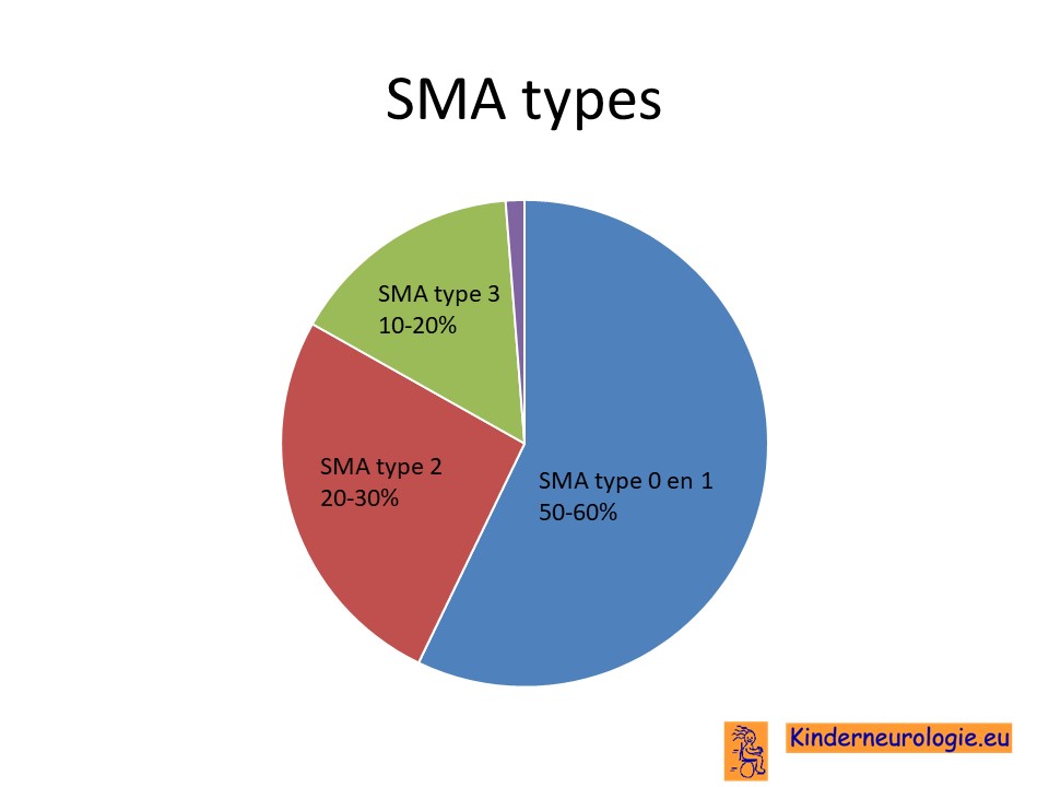 1 sma type Spinal Muscular
